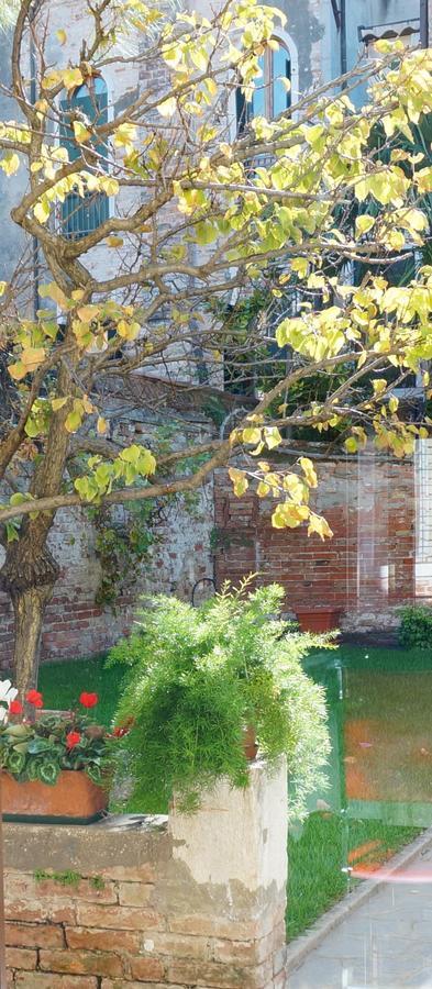 B&B Hortus Venezia Esterno foto