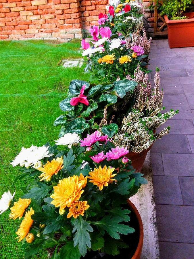 B&B Hortus Venezia Esterno foto